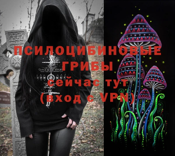 метамфетамин Алексин